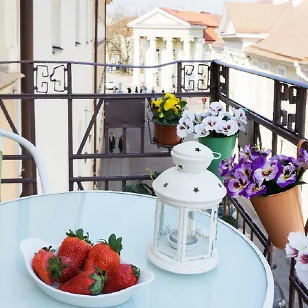 President Palace With Balcony And 2 Baths * 维尔纽斯